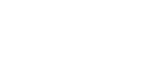 StockNSpoon Logo